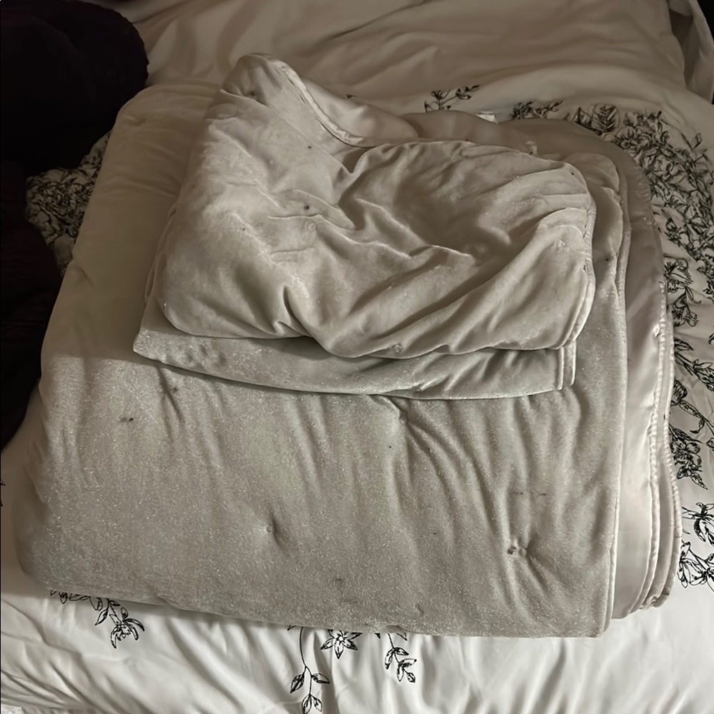 Rachel Zoe Cream Comforter Set Soft Bedding